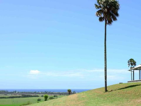 ROSE VALLEY Gerringong 4pm Check Out Sundays - Accommodation Georgetown 0