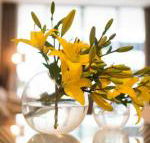 KUI Manhattan Apartments - Accommodation Georgetown