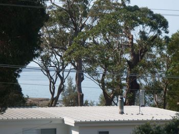 Bawley Break - Accommodation Georgetown 4