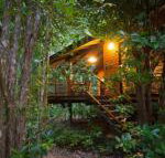 Wildwood - Accommodation Georgetown