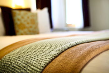 Peppers Rundells Alpine Lodge - Accommodation Georgetown 1