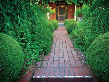 La Pausa - Accommodation Georgetown 5