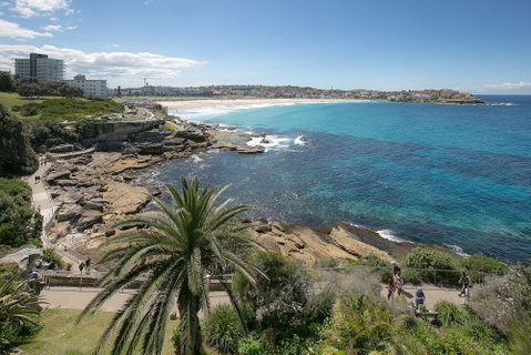 Ultimate Bondi Escape - Accommodation Georgetown 4