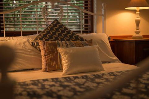 Celestial Dew Of Tyalgum - Accommodation Georgetown 2