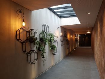 Richmond Lifestyle Apartment - Accommodation Georgetown 2