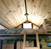 Big Tiny Dale View Tiny House