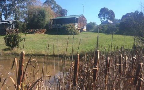 Creswick Cabin Retreat - Accommodation Georgetown 2
