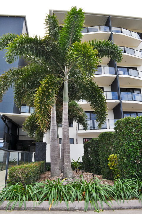 The Bay - Accommodation Georgetown 2