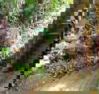 Rainforest Hideaway - Accommodation Georgetown