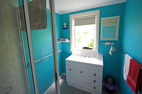 The Spotted Salmon Cottage - Accommodation Georgetown 6