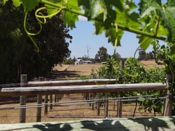 Big Brook Cottages - Accommodation Georgetown 4