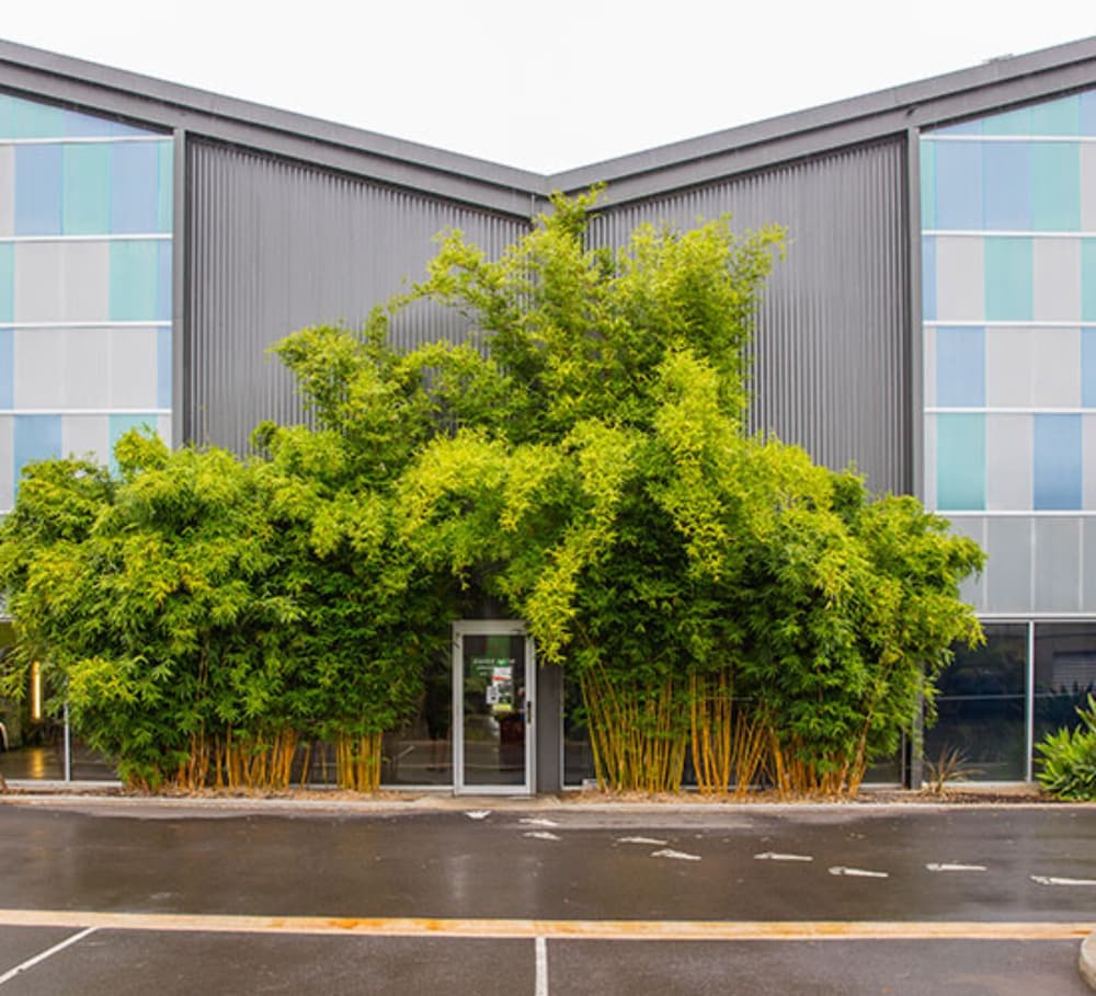 Clovelly Park SA Accommodation Georgetown