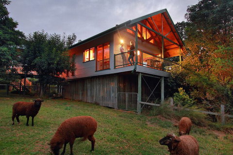 Worendo Cottages - Accommodation Georgetown 3