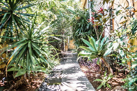 A PERFECT STAY - Byron Blisshouses - Accommodation Georgetown 3