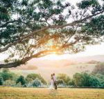 Cedia at Byron Bay Hinterland - Accommodation Georgetown