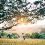 Cedia At Byron Bay Hinterland - Accommodation Georgetown 0