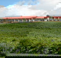 Turners Vineyard Motel and Function Centre - Accommodation Georgetown