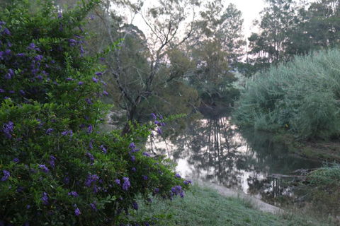 Serendipity On Allyn - Accommodation Georgetown 7