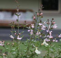 Serendipity on Allyn - Accommodation Georgetown