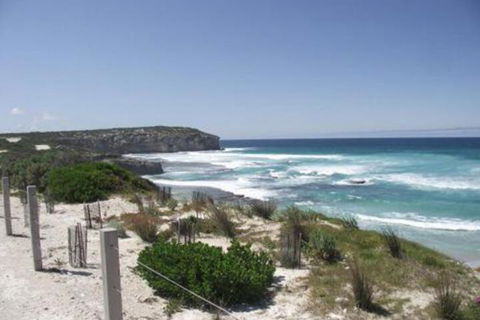 Cooinda Holiday Village - Accommodation Georgetown 4