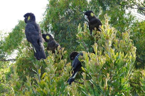 Eagles Rise Tasmania - Accommodation Georgetown 5