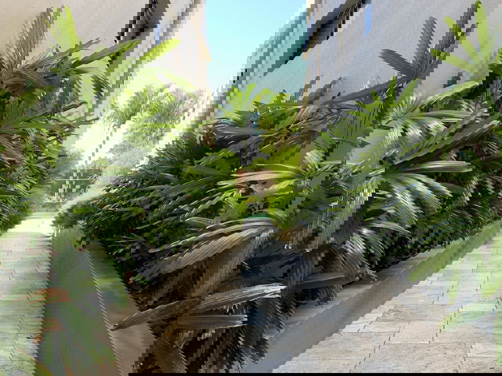 Byron Bay NSW Accommodation Georgetown