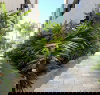 Aabi's at Byron - Accommodation Georgetown