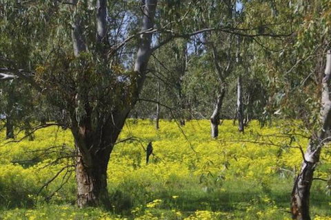 Broken Gum Country Retreat - Accommodation Georgetown 3