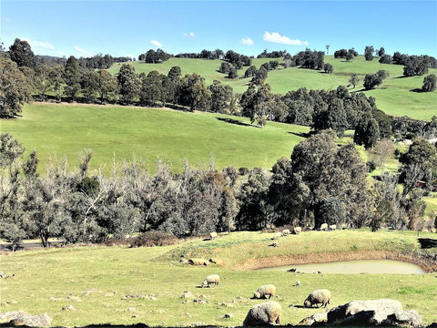 Balingup Highview Chalets - Accommodation Georgetown 0