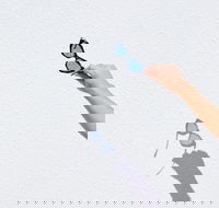 The Sails Motel Brunswick Heads - Accommodation Georgetown