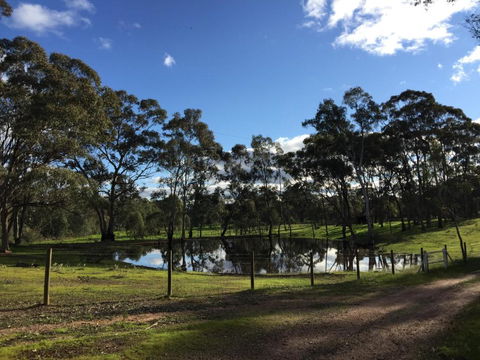 Donkey Tales Farm Cottages - Accommodation Georgetown 5