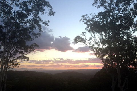 Phoenix Eumundi Bed & Breakfast - Accommodation Georgetown 1