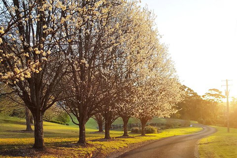 The Drawing Rooms Of Berry - Accommodation Georgetown 1