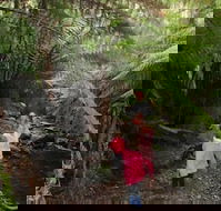 12 Apostles Cottages