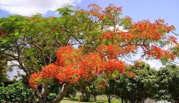 Chatsworth QLD Accommodation Georgetown