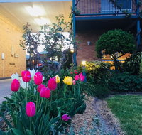 The Vines Motel and Cottages