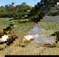 Country Cottages of Bridgetown - Accommodation Georgetown