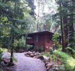 Black Palm Cape Tribulation - Accommodation Georgetown