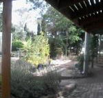 Friends in Harcourt North - Accommodation Georgetown