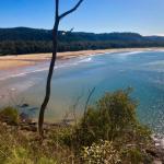 Umina NSW Accommodation Georgetown