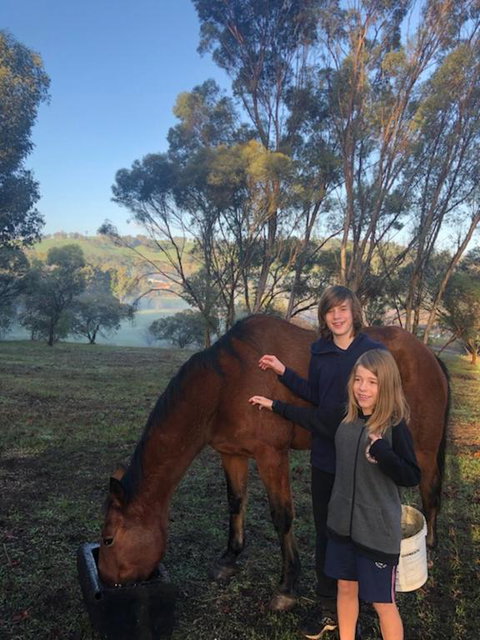 Balinga Cottages - Accommodation Georgetown 4