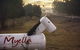Myella Farm Stay - thumb 1