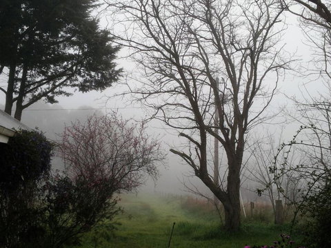 Brookvale House Balingup - Accommodation Georgetown 3