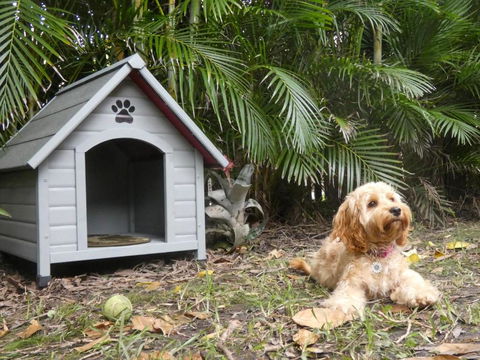 CHILL OUT BEACH HOUSE At FORSTER - Accommodation Georgetown 3