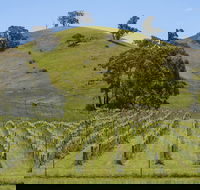 Blue House at Mountainside Wines - Accommodation Georgetown