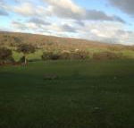 Mancuso Country Cottage Retreat - Accommodation Georgetown