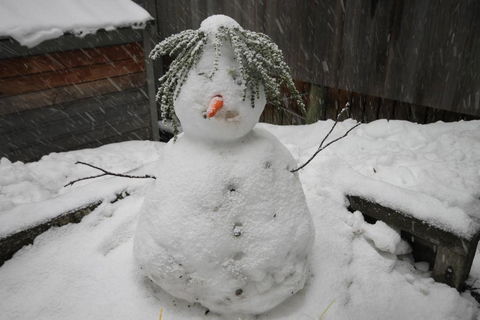 CHILL OUT At THREDBO - Accommodation Georgetown 2