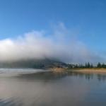 At The Beach & Not Quite At The Beach Holiday Cottages Stanley - Accommodation Georgetown 0