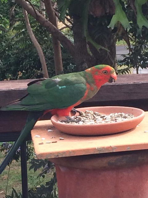 PK Illusions - Accommodation Georgetown 6