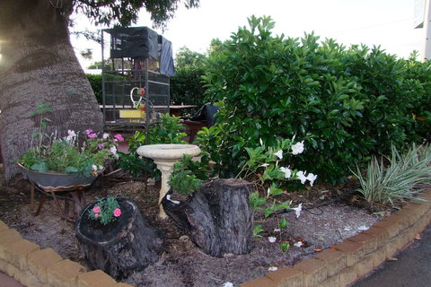 Acacia Motel - Accommodation Georgetown 2